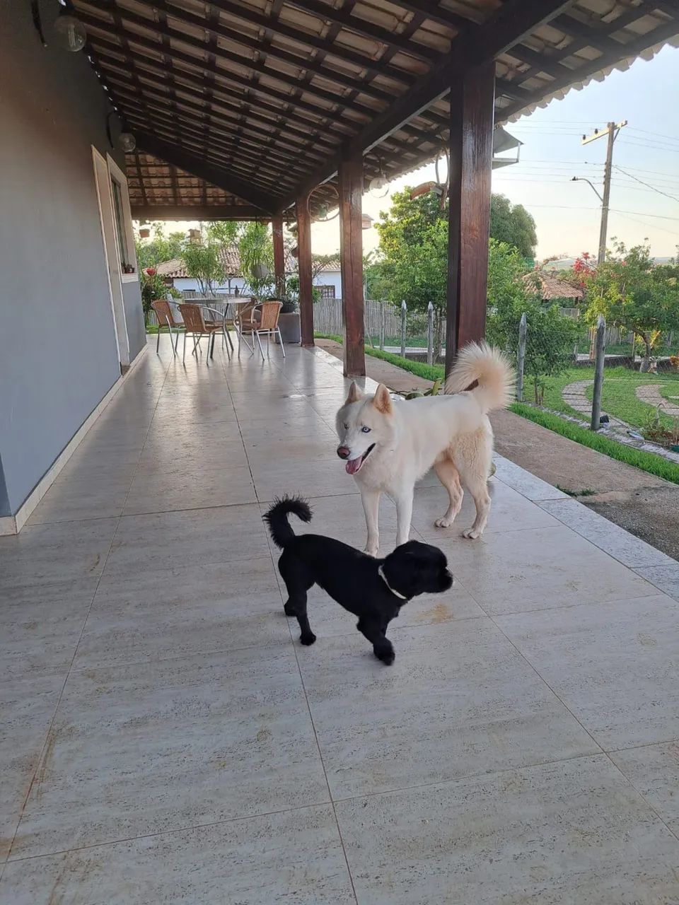 Lindo sitio em condomínio fechado 