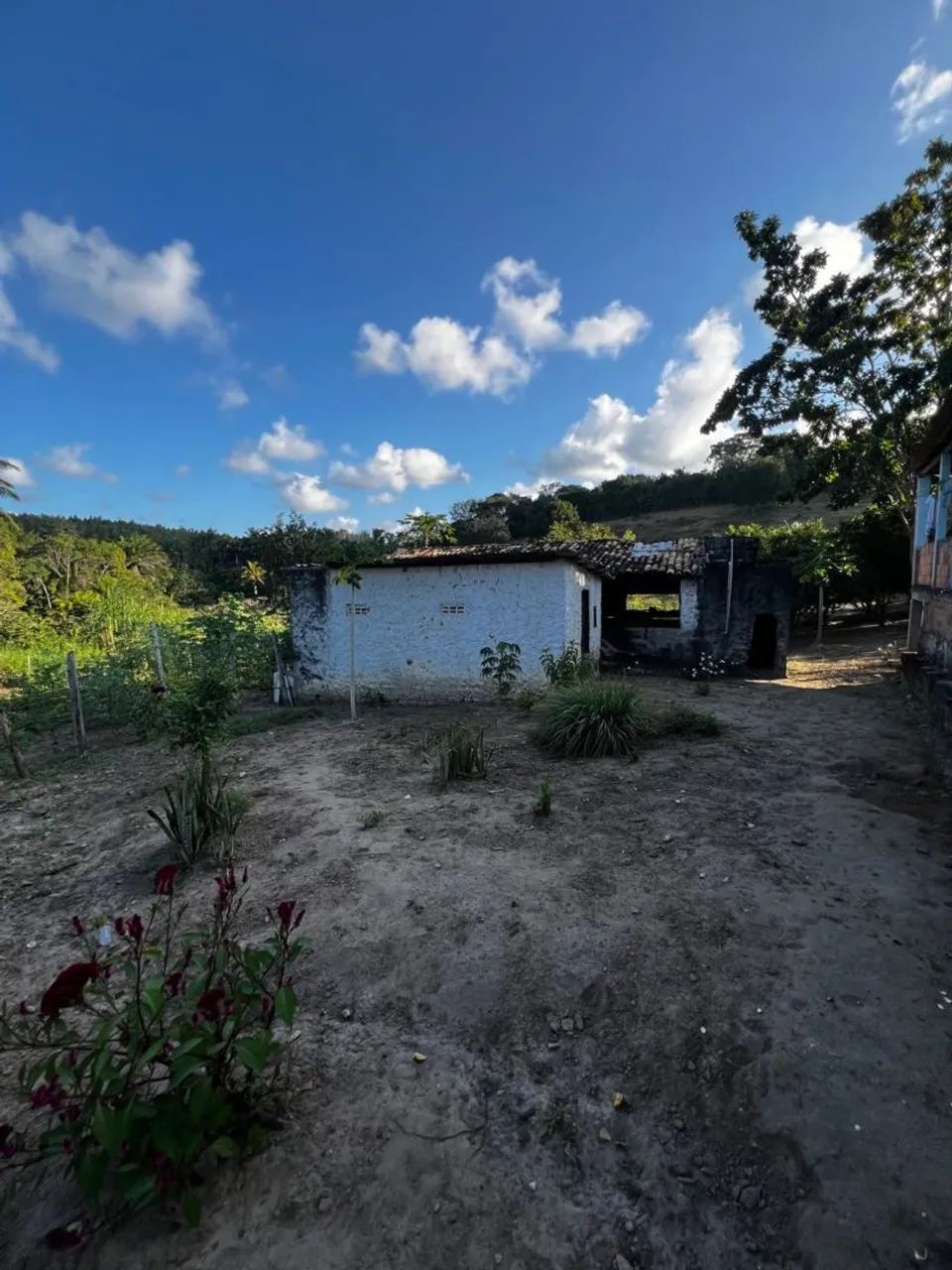 Sítio a venda - Foto 3