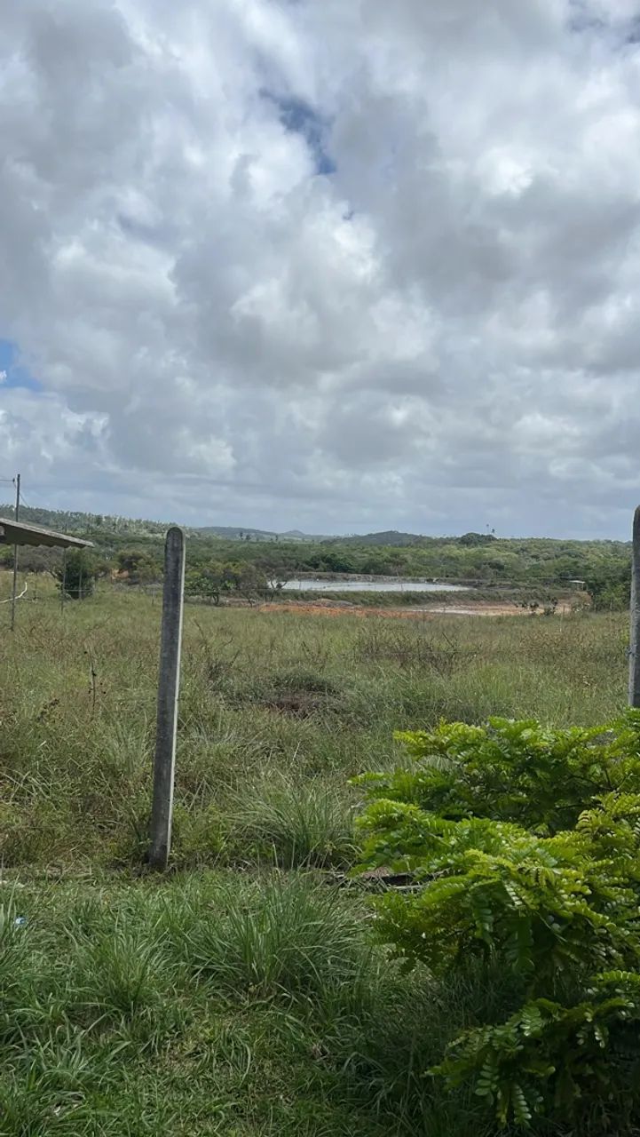 Sítio com viveiro de camarão  - Foto 3