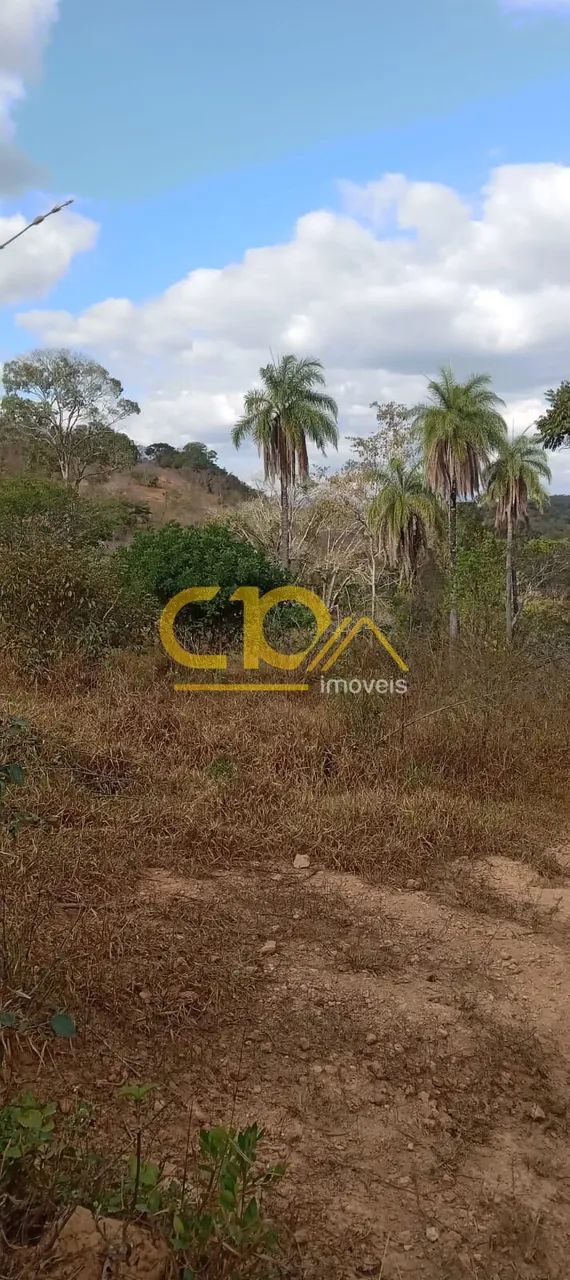 Terreno oportunidade, com pomar, arvores nativas. - Foto 5
