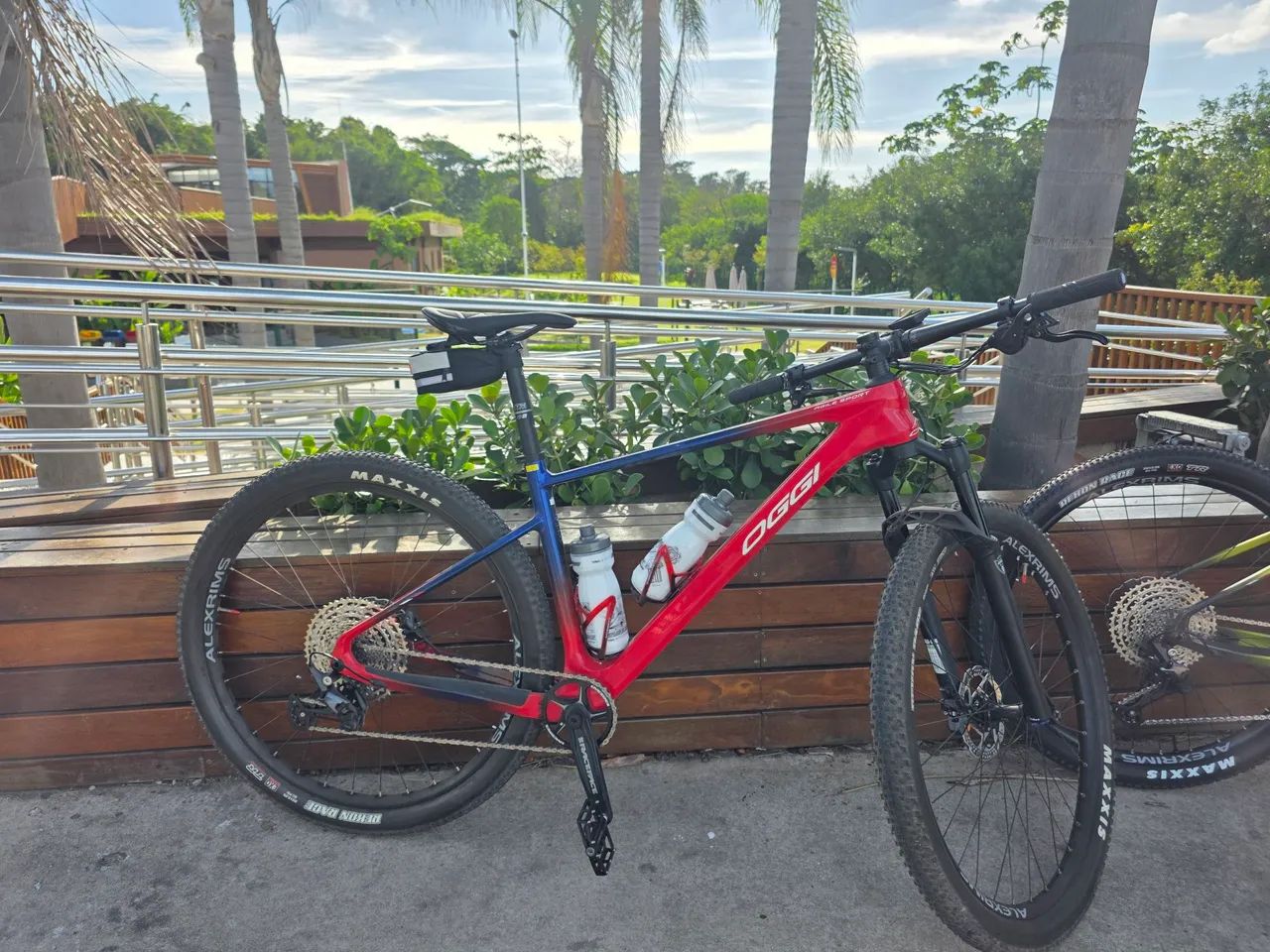 Oggi Agile Sport Carbon 2025