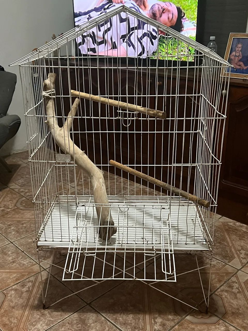 Viveiro65093397027331121