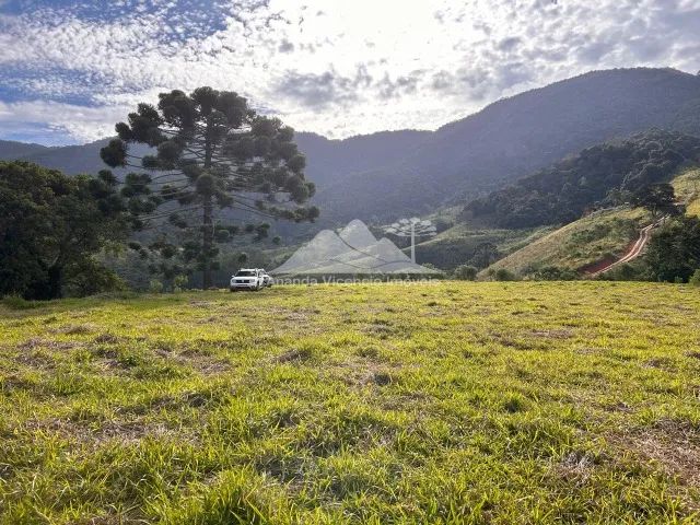 Belíssima Chácara de 5.000 m2 com platô de 3.500m2. Delfim Moreira MG - Foto 2