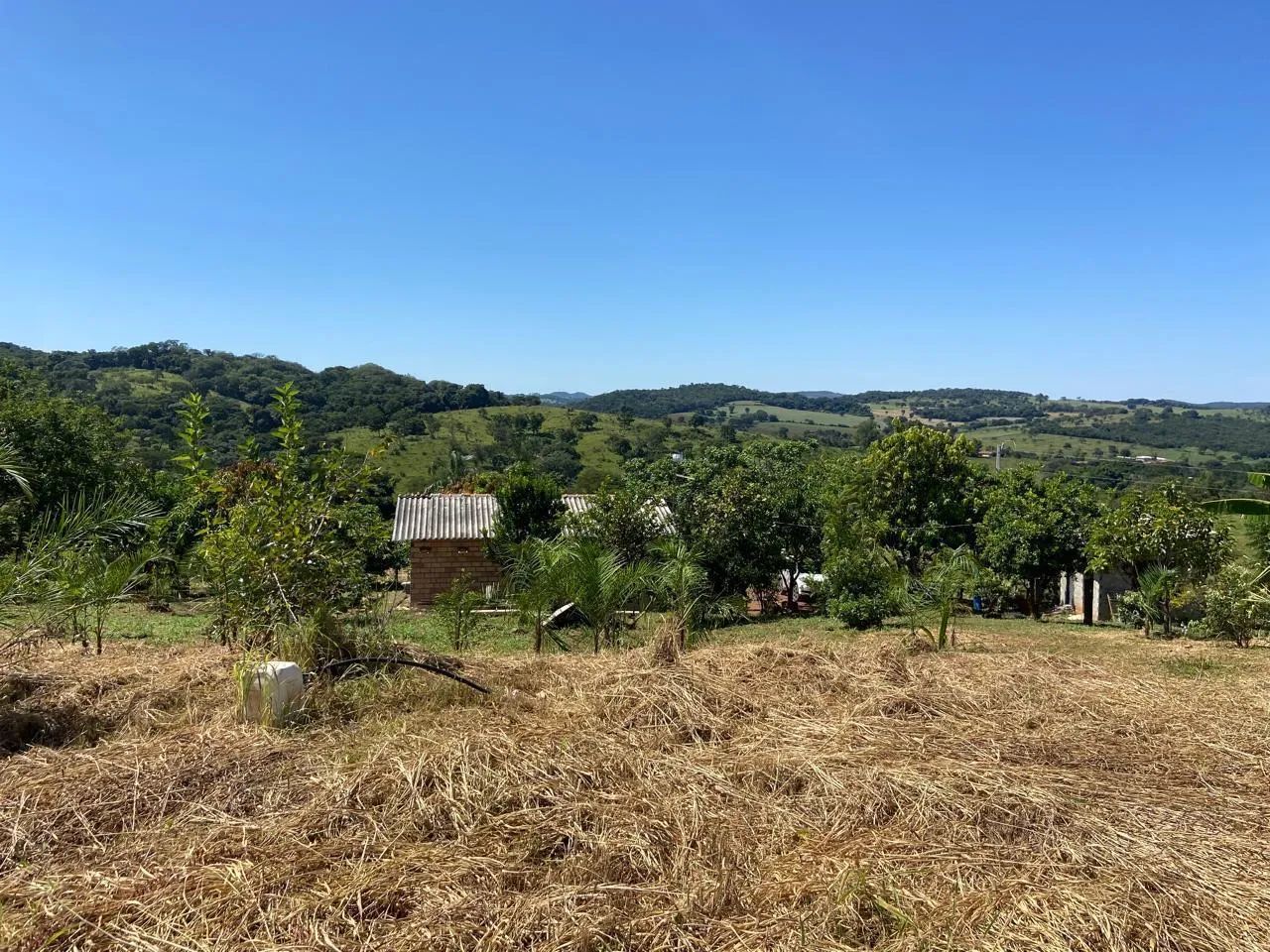Chácara em caldazinha  - Foto 4