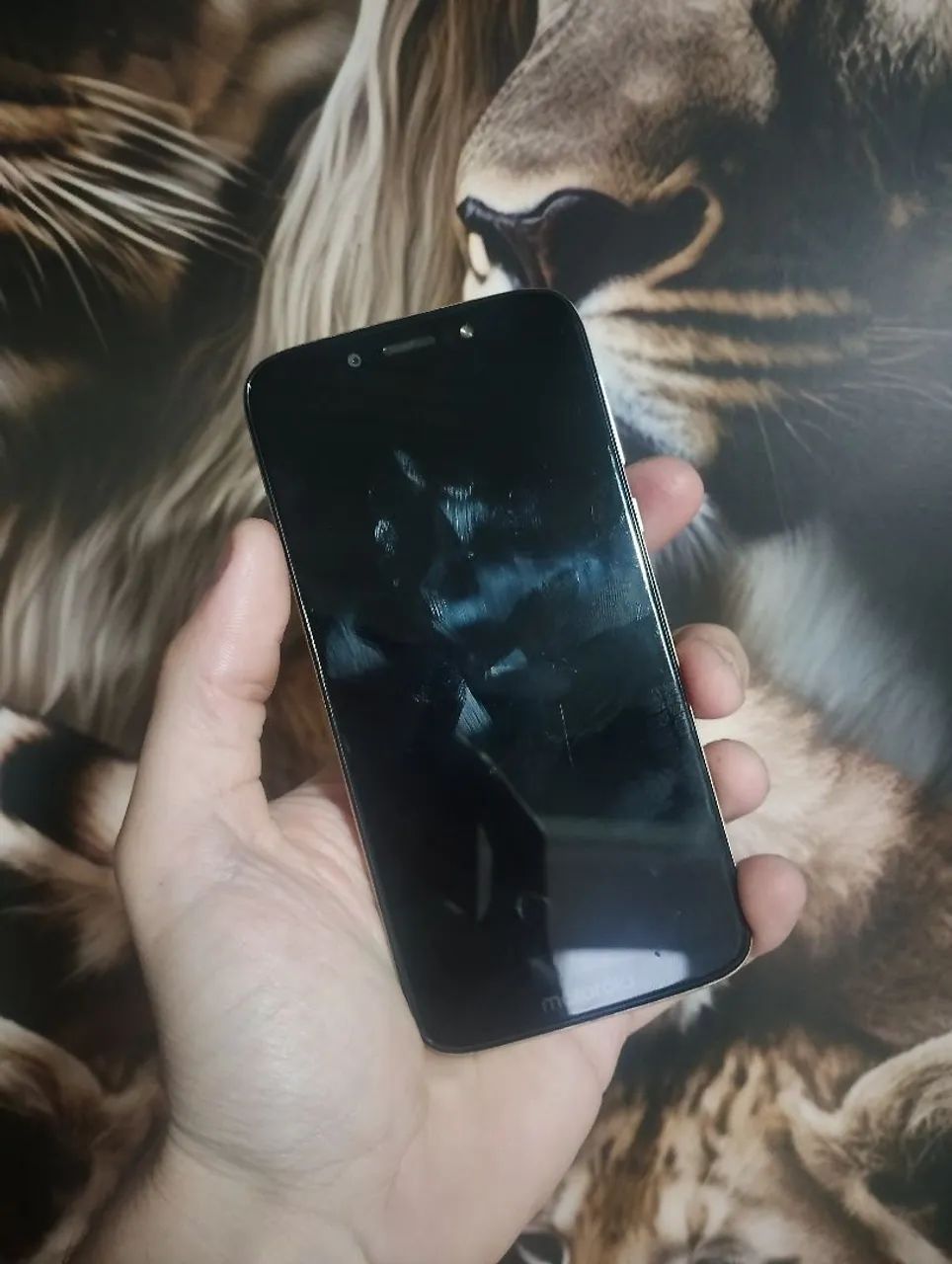 Motorola  - Foto 2