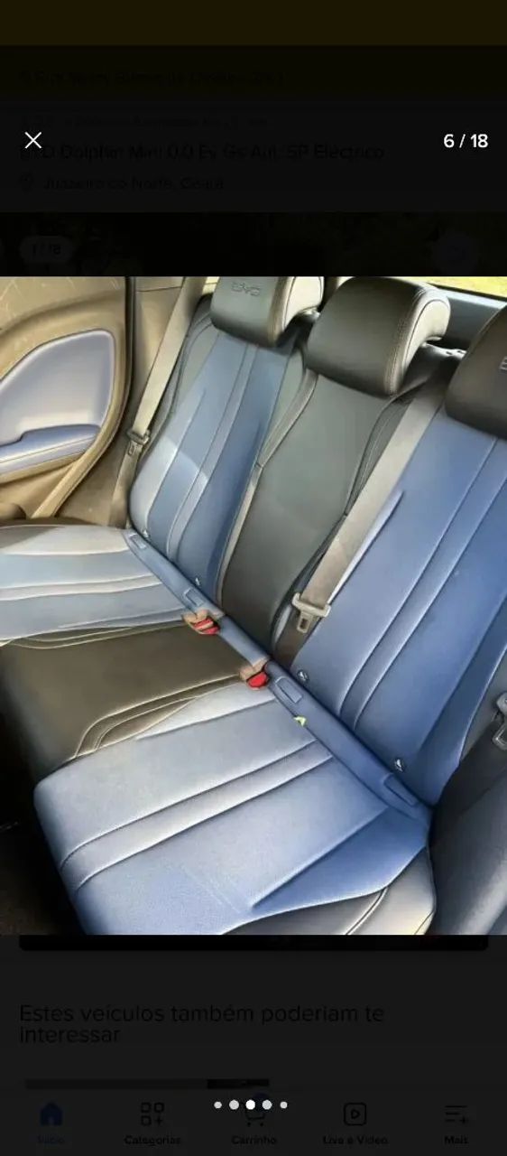 BYD Dolphin Mini (Elétrico) 2025 - Foto 4