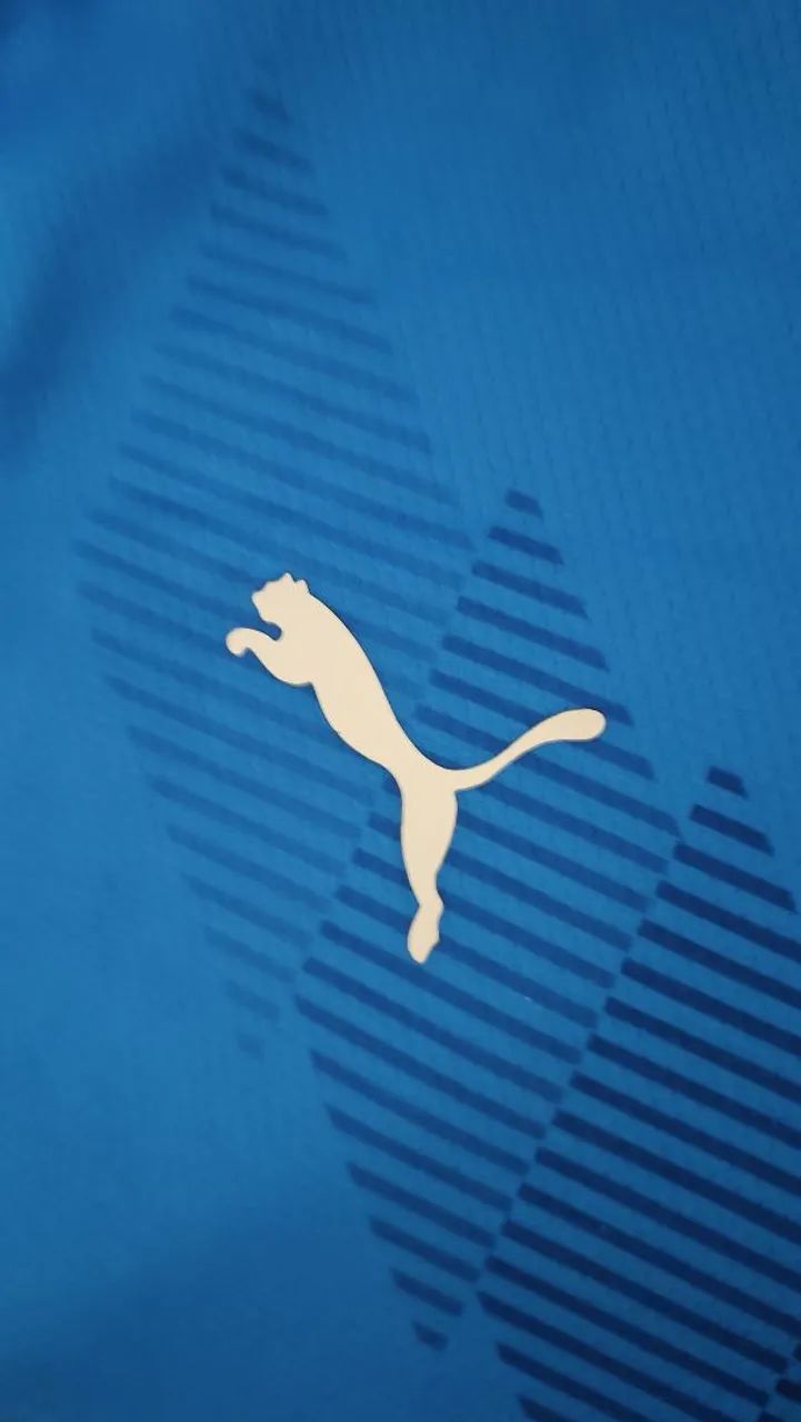 Camisa Palmeiras goleiro 24/25 GG - Foto 4