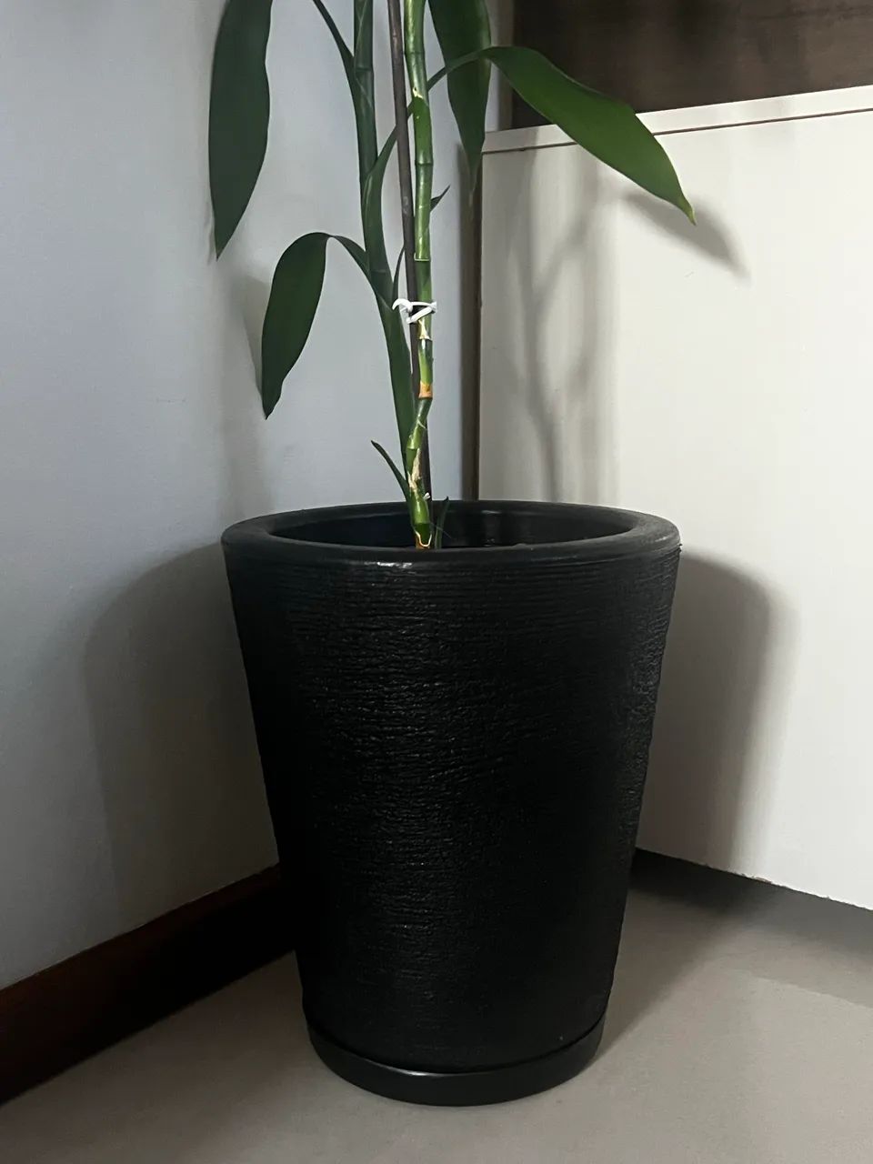 VASO COM BAMBU DA SORTE  - Foto 3