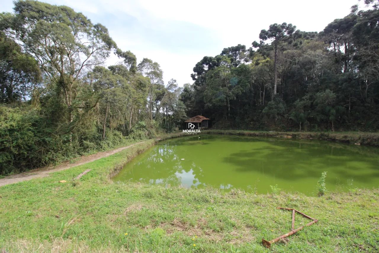 Chácara com 21.000m² na Murici - Foto 5
