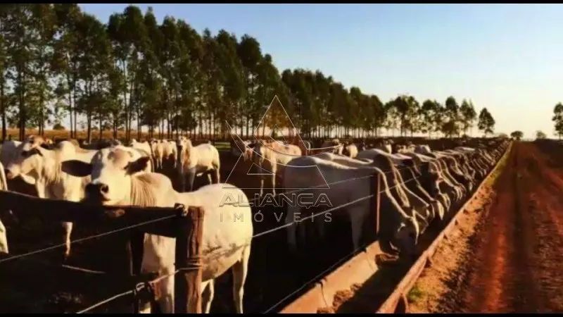 Fazenda - Santa Vitoria - Zona Rural - Foto 2