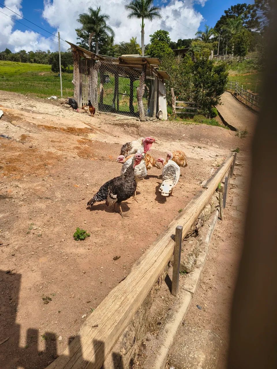 Peru