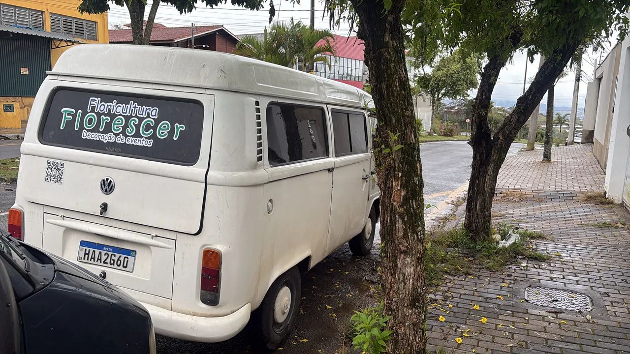 Volkswagen Kombi Kombi Standard 1.4 Mi Total Flex 8V 2006