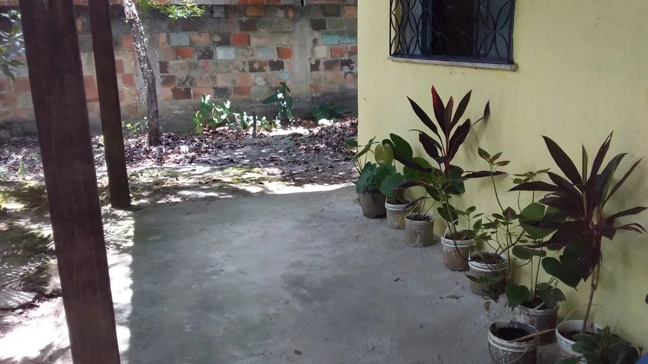 Vendo lindo Sitio  - Foto 4