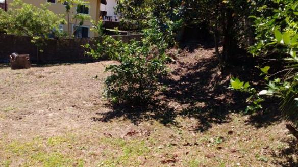 Barbada : Casa na Caiacanga, Ribeirão da Ilha, com 3 dormitórios, área de 650m² - Foto 2