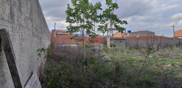 Oportunidade para instalação de empresa: área de 2.412 m2 - Foto 2
