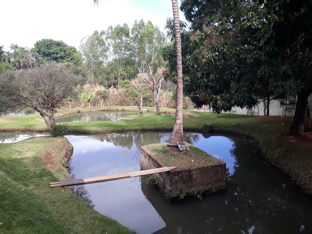Vendo, Chácara p/Eventos/Res.Eli Forte - Foto 7