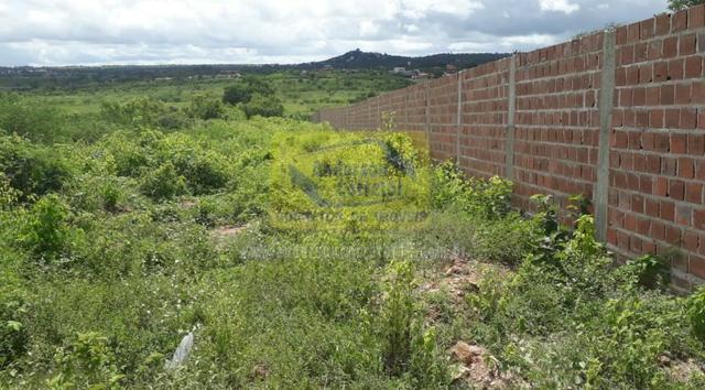 Lote Com Excelente Localização ? Em Rua Principal - Gravatá/PE / Propriedade ID : L0686 - Foto 7