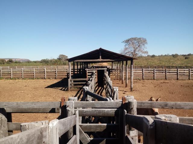 Fazenda de 1940 hectares, ha 60 km de Cuiabá, na região do manso