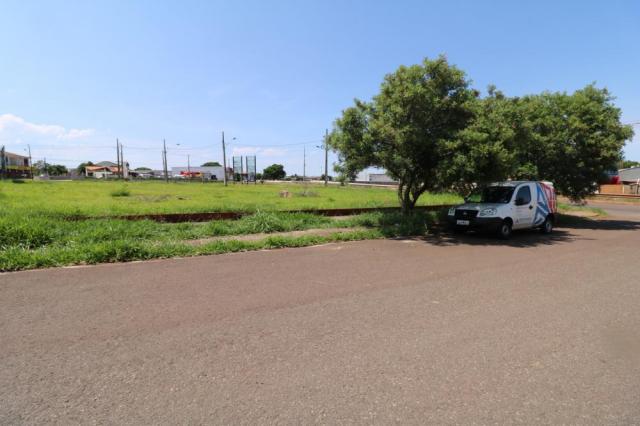 Terreno para alugar em Jardim colina verde, Maringa cod:L51431 - Foto 14