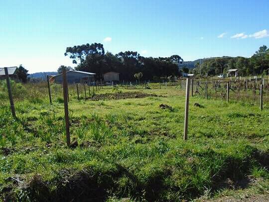 Terreno em Ana Rech