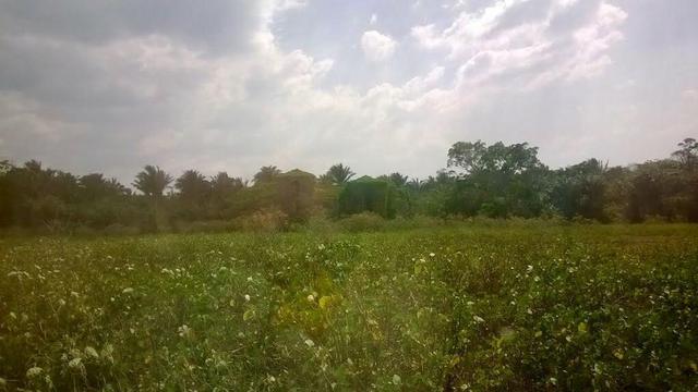 Vende-se Fazenda em Santa Rita - Foto 3