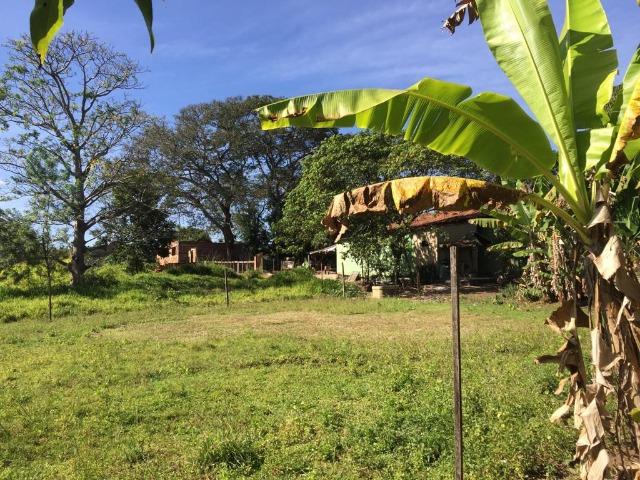 Chácara Setor Eli Forte - Goiânia-Oportunidade - Foto 5
