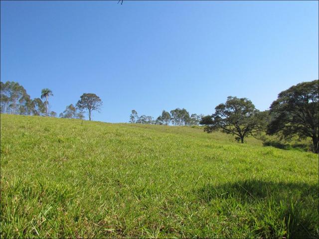 Fuja da cidade terreno em meio a natureza - Foto 4