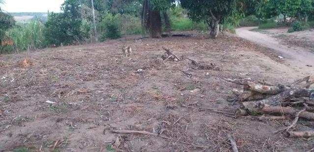Terreno - Foto 4