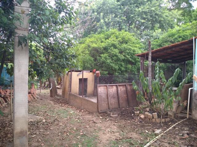 Chácara - Colônia Agrícola Sucupira - Riacho Fundo - Foto 20