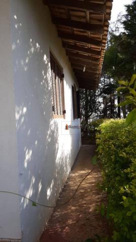 Chácara com 1 dormitório à venda, 2600 m² por R$ 300.000,00 - Parque Lucélia - Arujá/SP - Foto 6