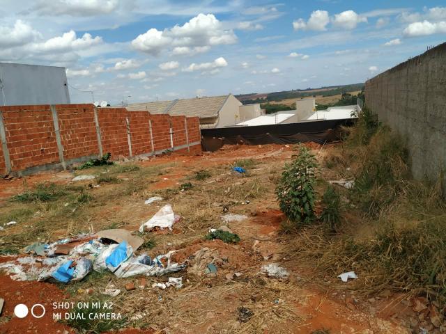 Lote Idelfonso limirio