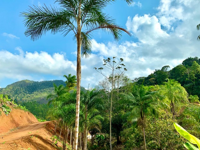 **UM PARAÍSO EM SANTA TERESA** - Foto 2