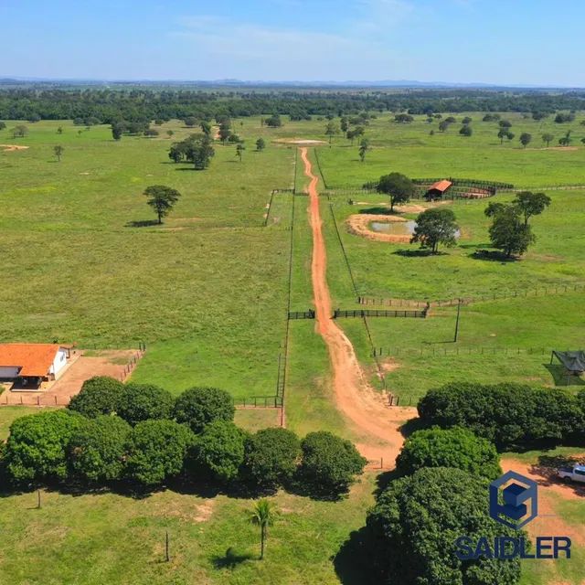 Faz em Miranda-MS, 1.825 hectares. - Foto 7