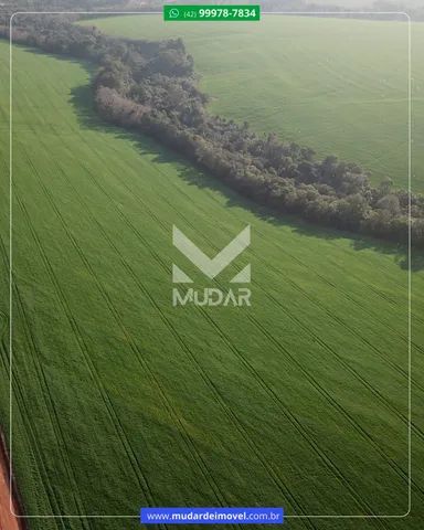 Área industrial em Ponta Grossa em frente a Bunge - Foto 15