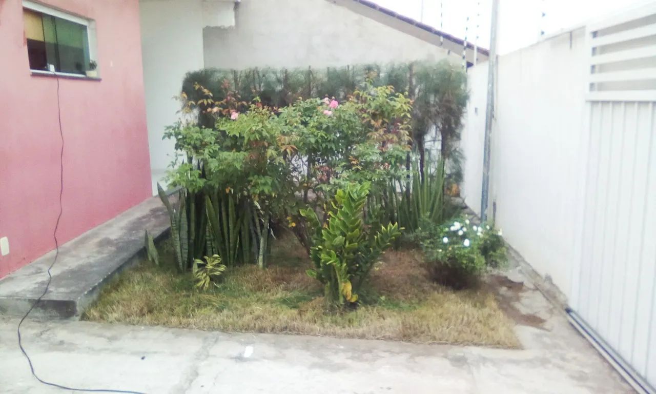 Jardineiro  - Foto 5