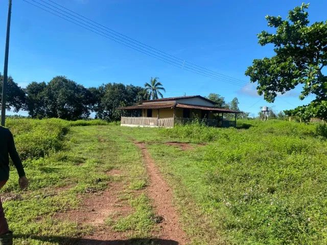 Fazenda em Itapecuru Mirim do Maranhão - Foto 5