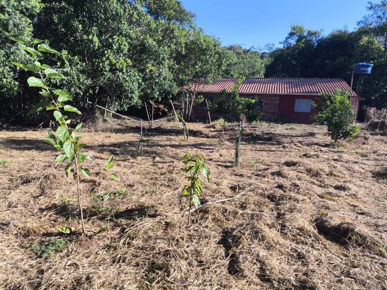 VENDO CHÁCARA EM PLANALMIRA COM CORREGO  - Foto 14