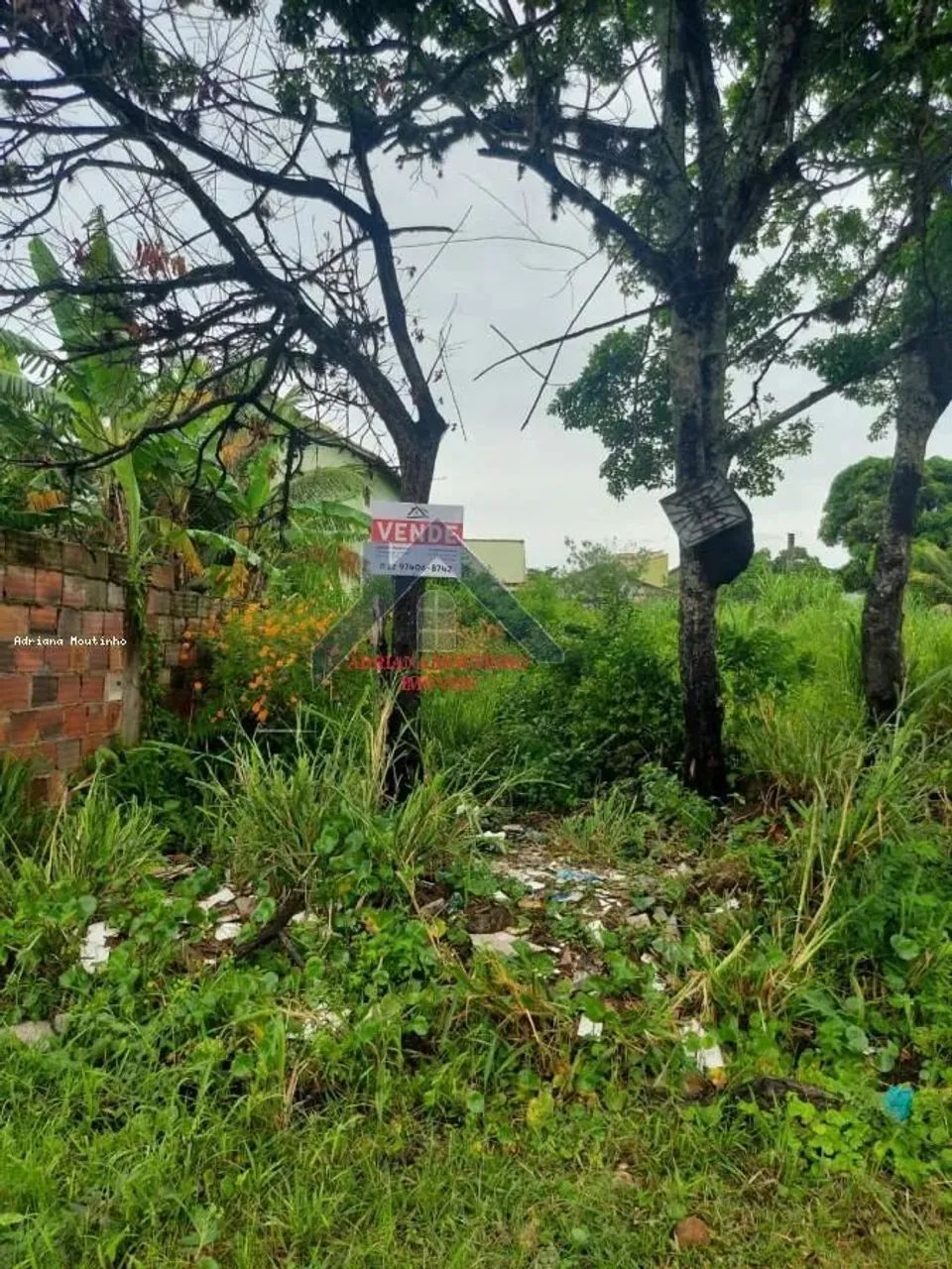 Terreno para Venda em Saquarema, Jaconé (Sampaio Correia) - Foto 4