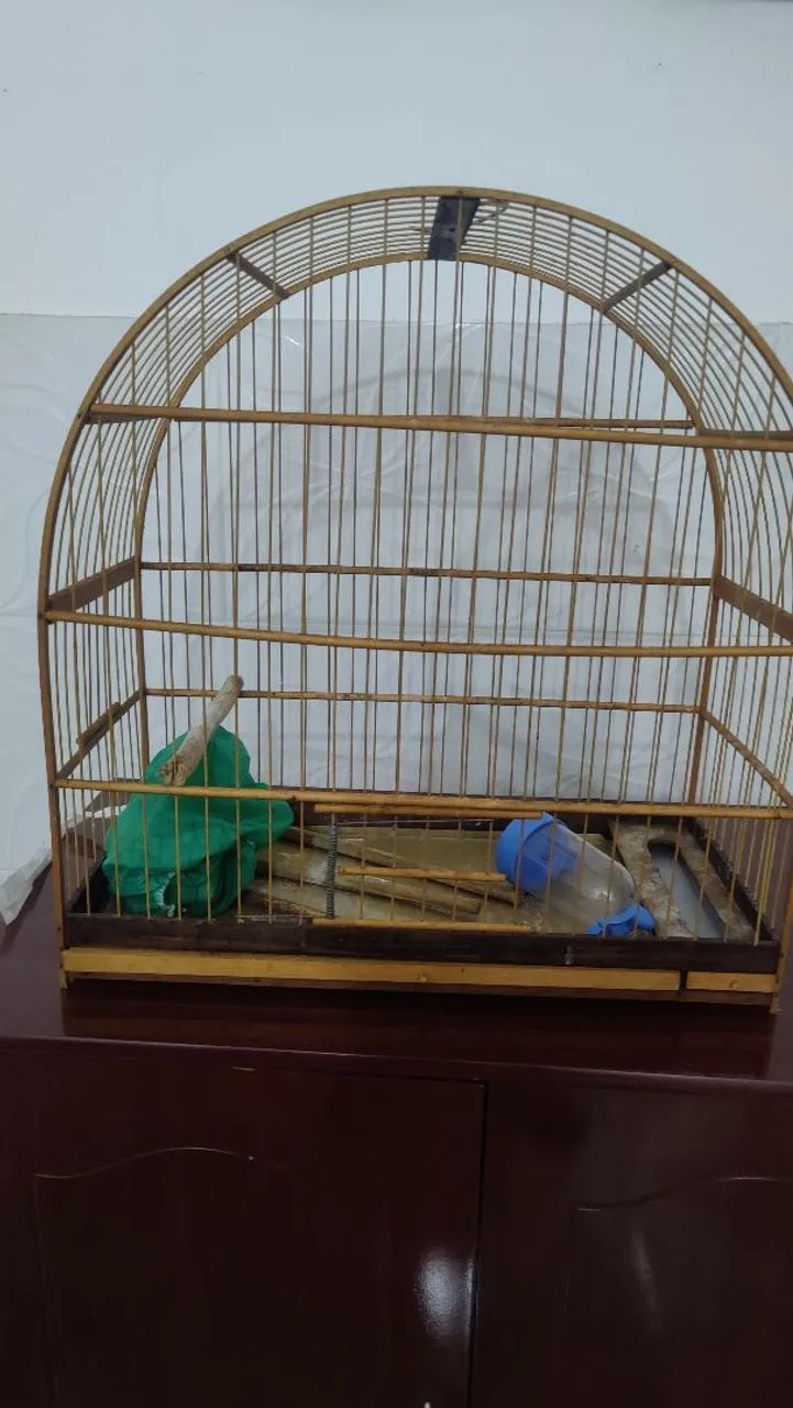 Gaiola para pássaros em ótimo estado