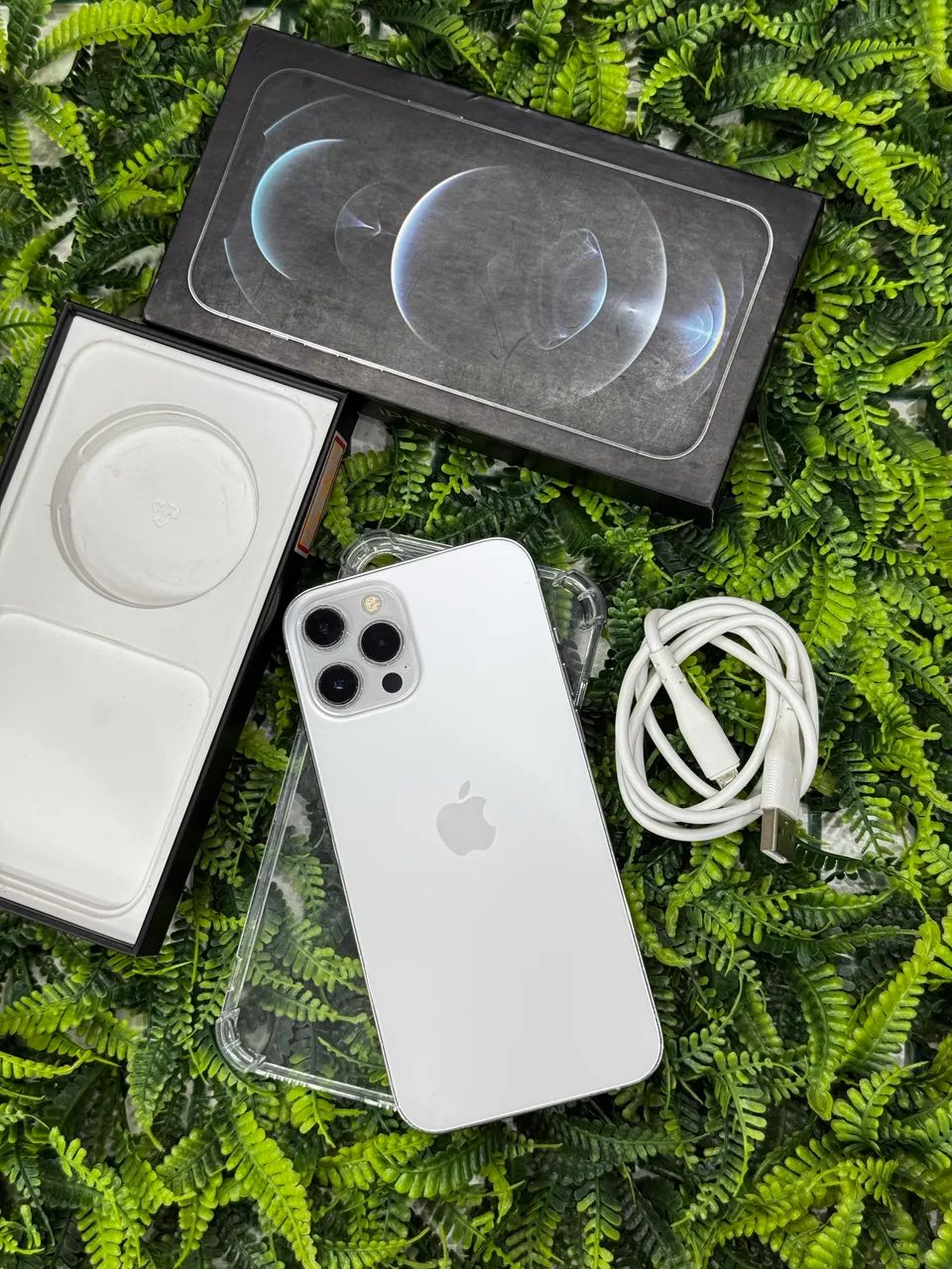 iPhone 12 Pro Max 256GB(本体のみ) iPhone 12 Pro Max 256GB Grafite - Preço baixo | 12x | MTronic