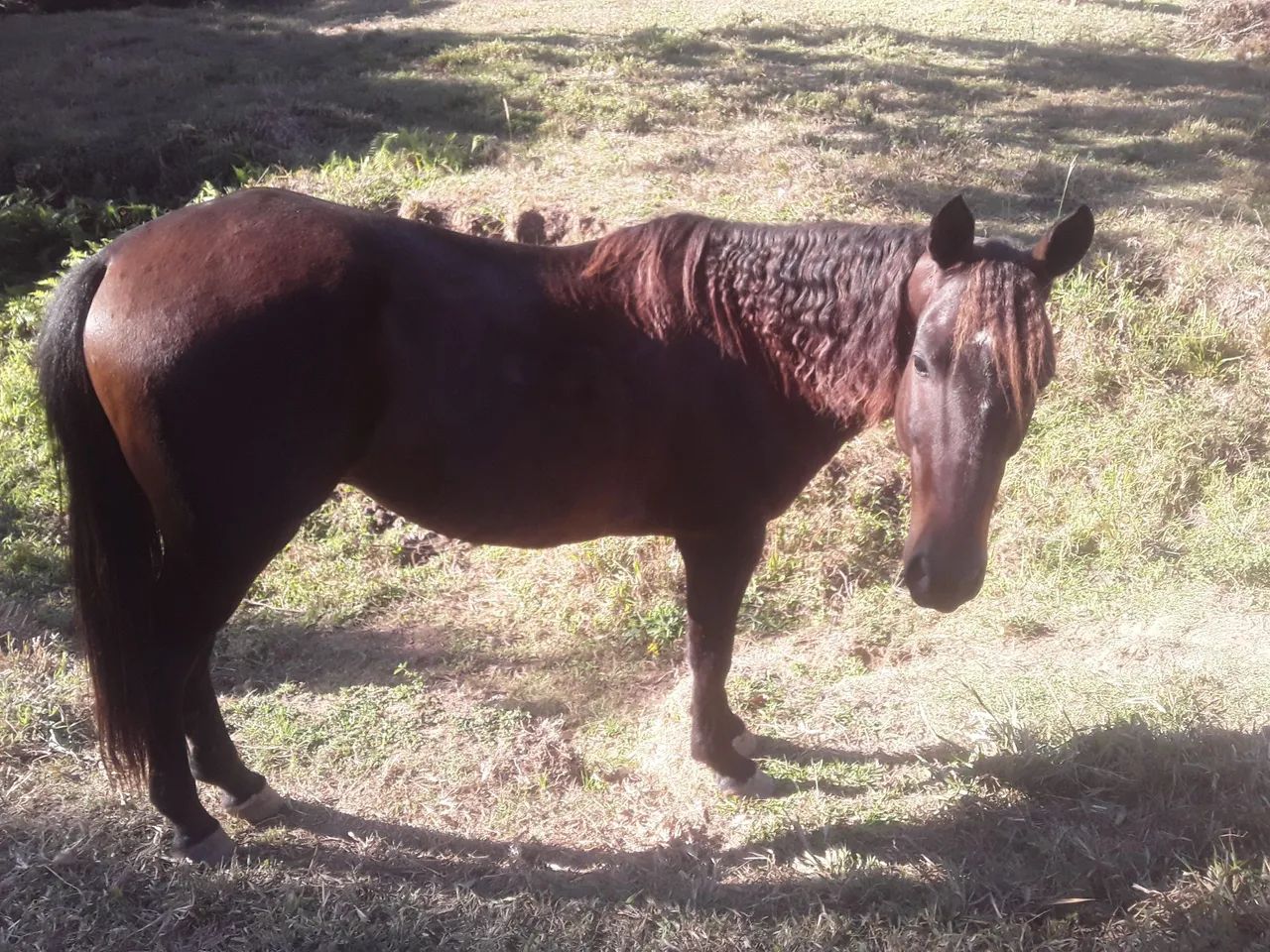 Vendo barato - Foto 3