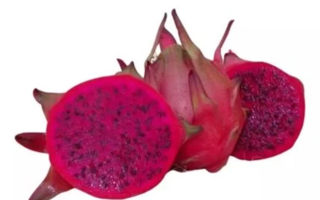 Mudas Auto-Férteis e Frutas Pitayas Organicas - Foto 5