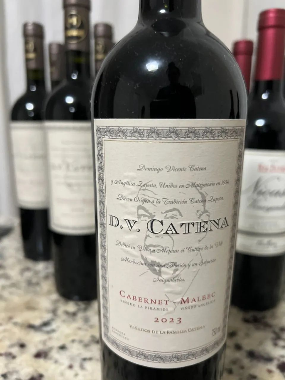 Vinhos Argentinos preço bom
