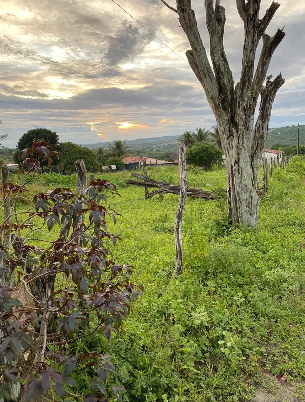 Terreno