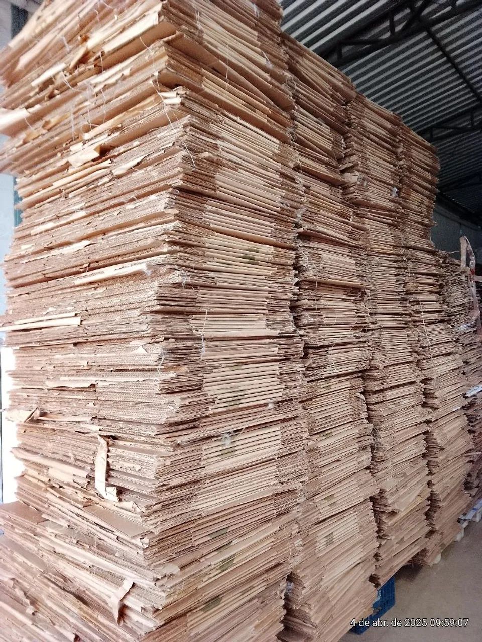 Caixa de ovo - novas - Foto 3
