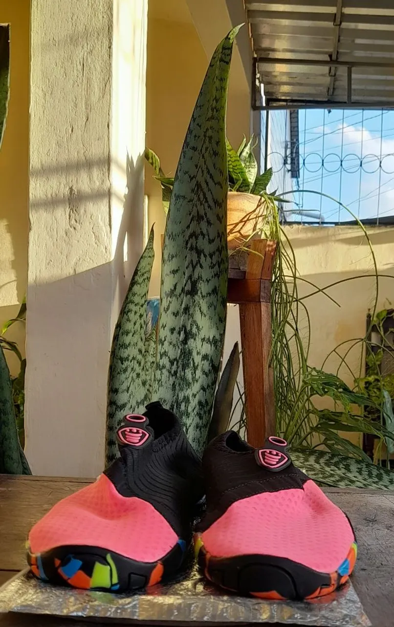 Sapatilha aquática