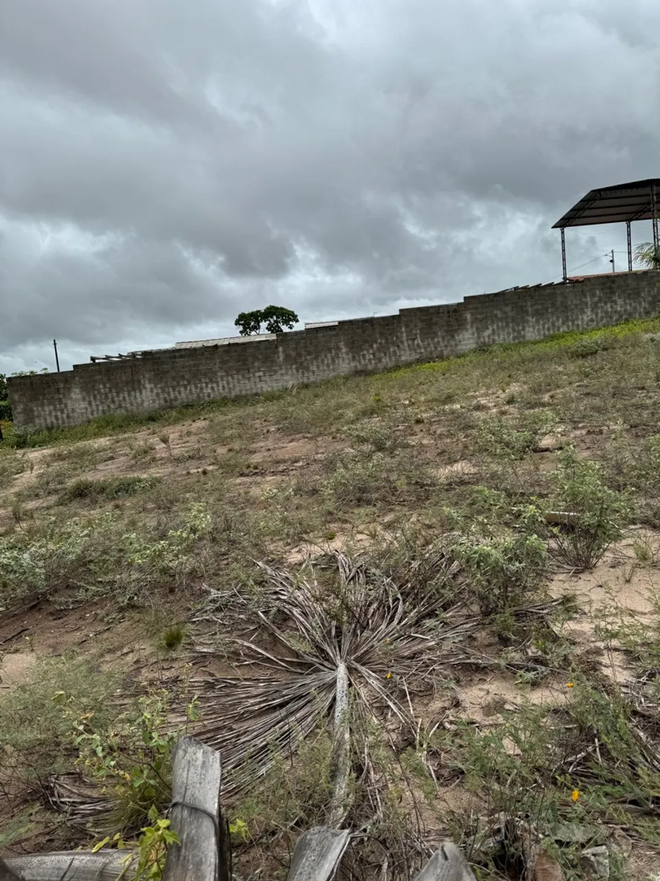 banho no auau de esquina