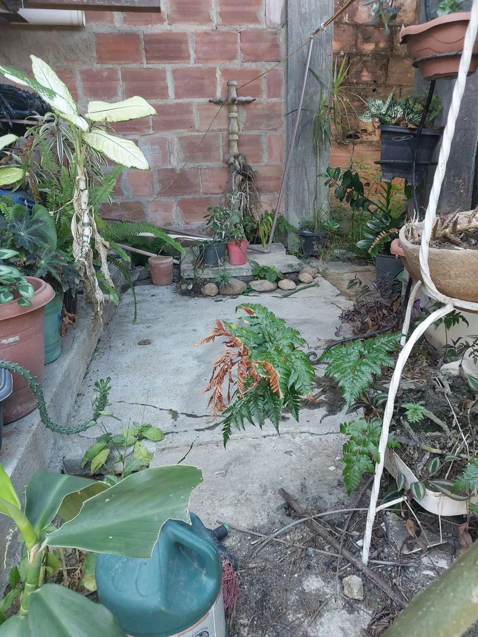 vê da de terreno  em nova grecia tribobo - Foto 3