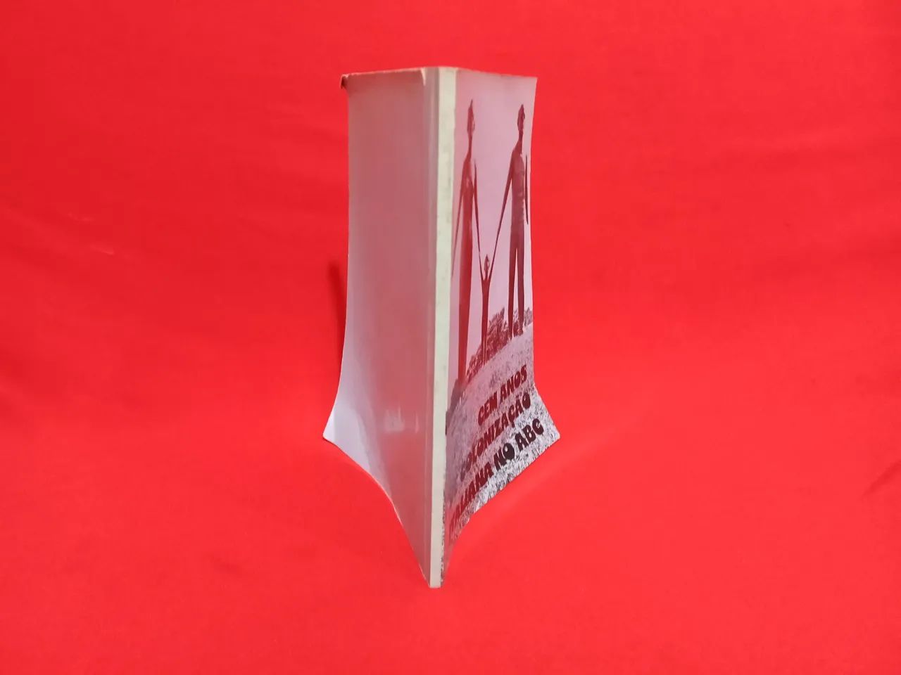 Livro Antigo 1976 Cem Anos De Colonização Italiana No ABC - Foto 2