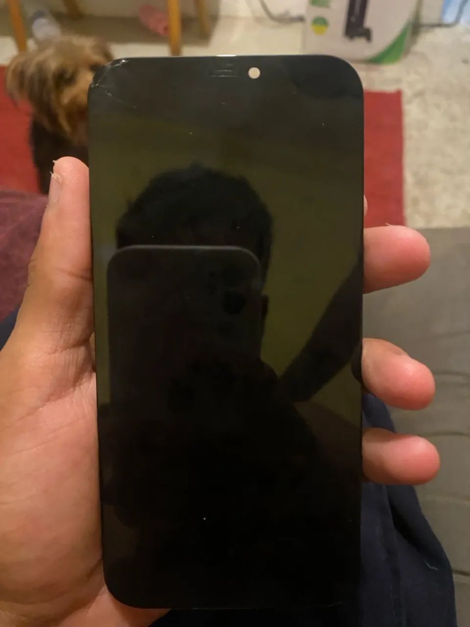 Tela iPhone 12 Pro  - Foto 3